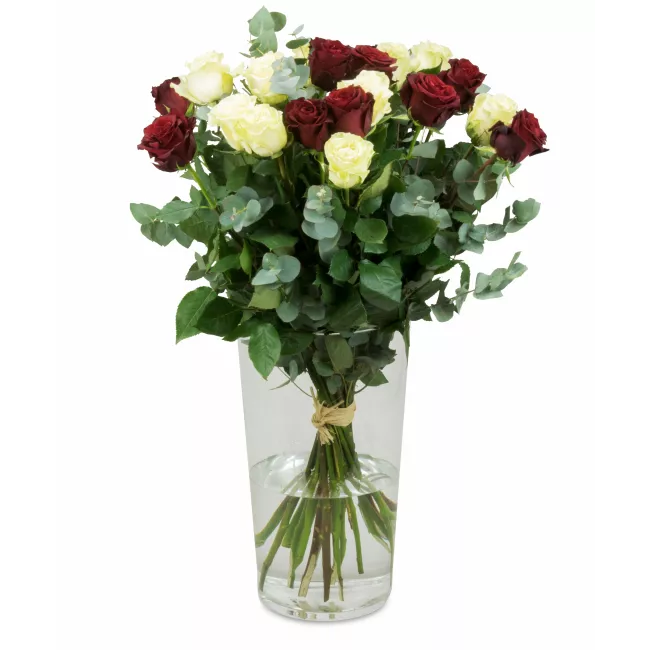 Bouquet of Ecuadorian roses